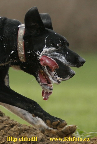 Bakonybel - 0396.JPG